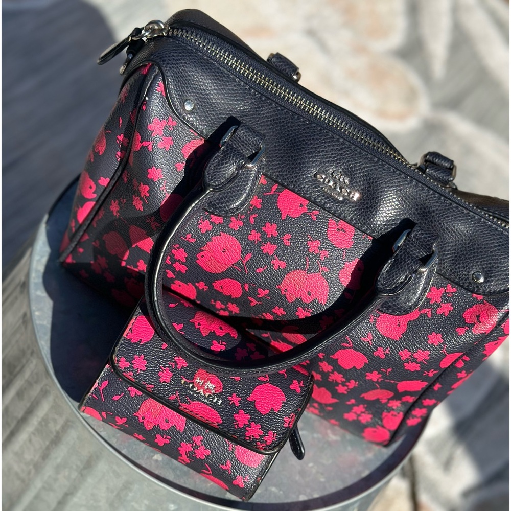 Coach mini satchel with matching wallet. Used but good condition.